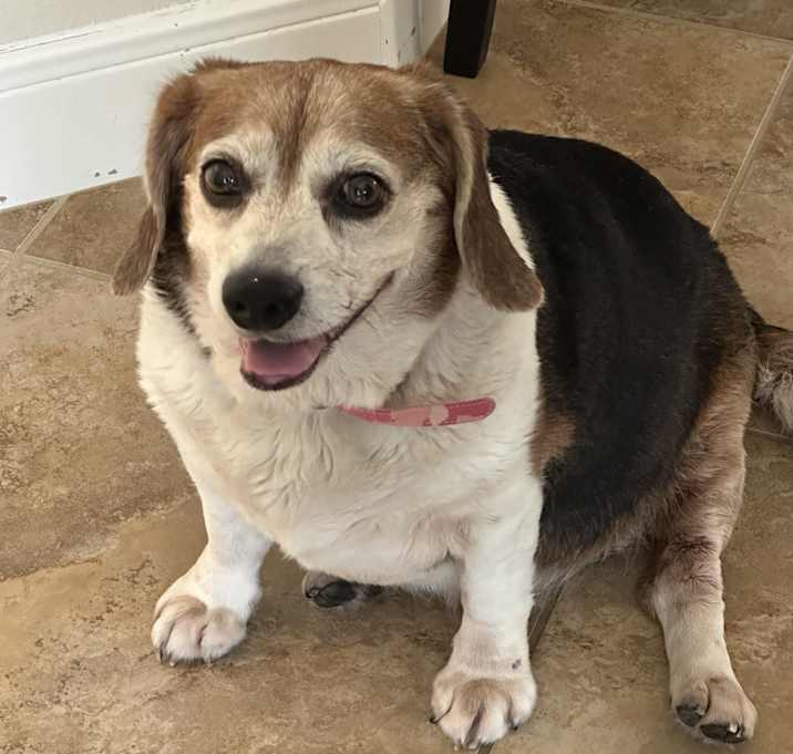 Photo of Roxy
