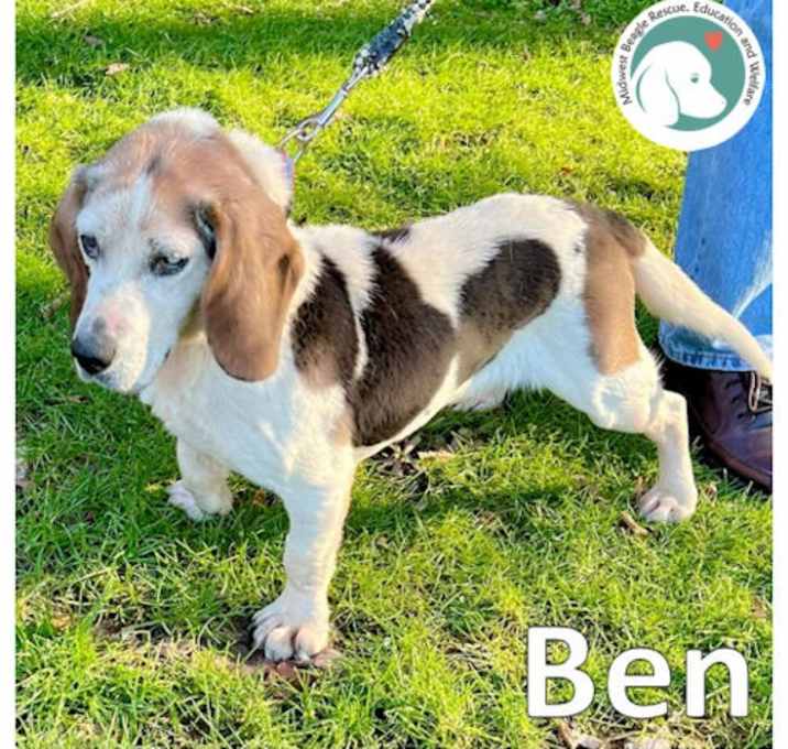 Photo of Ben
