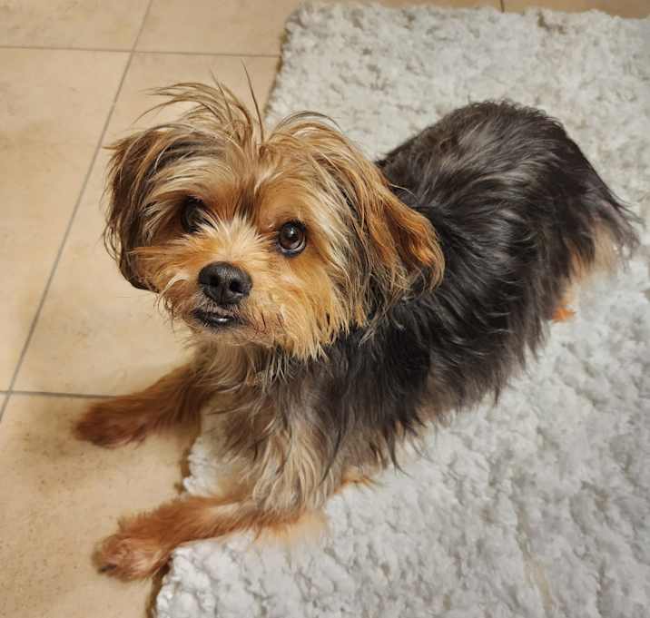 Photo of Hudson