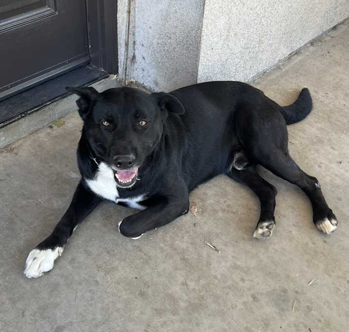 Photo of Happy