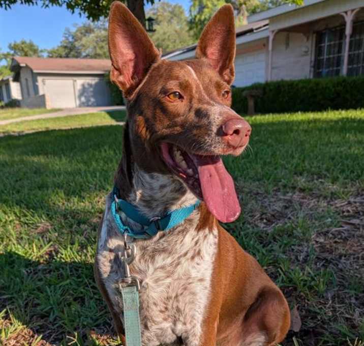 Photo of MAX
