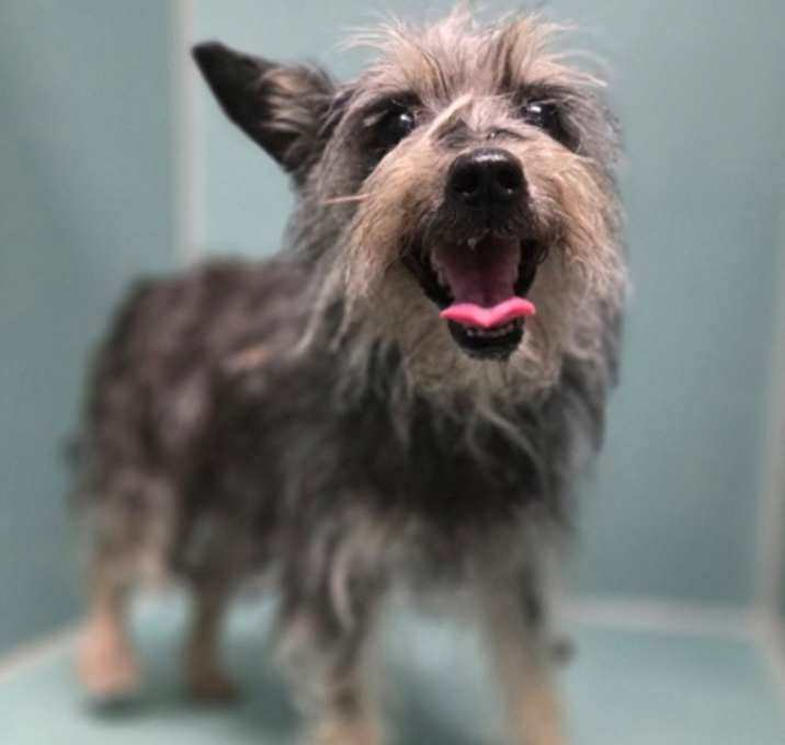Photo of Dutchess