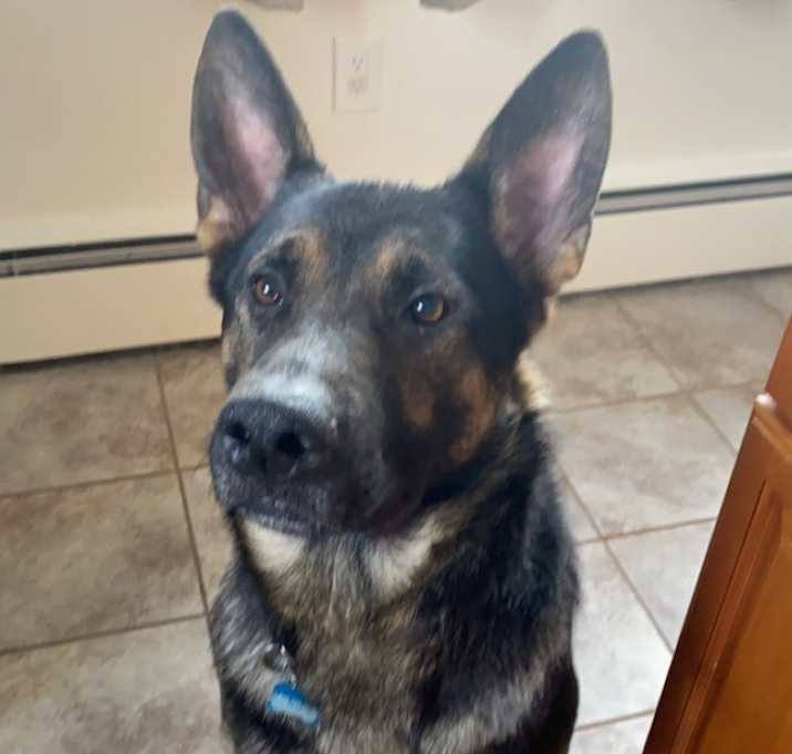 Photo of Duke