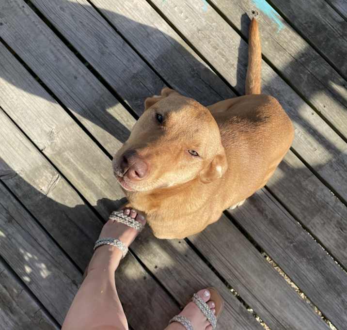 Photo of LIlly