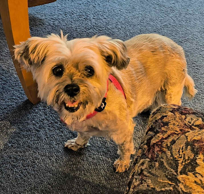 Photo of Lucy