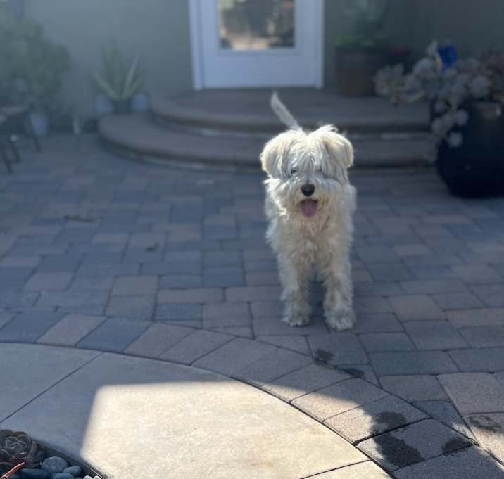 Photo of Jax