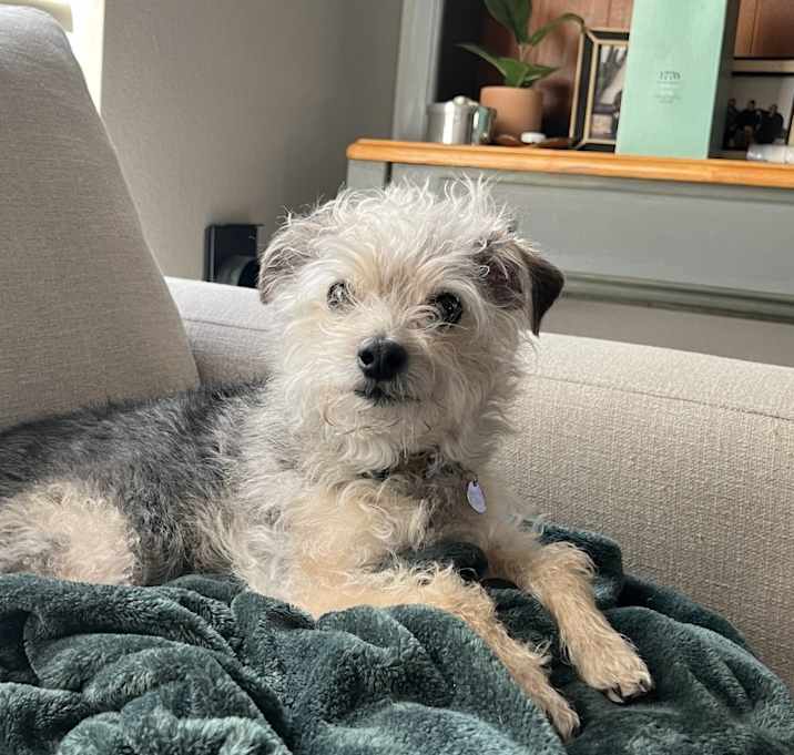 Photo of Kevin