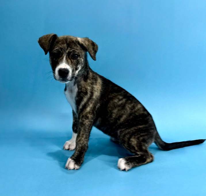 Photo of Teagan