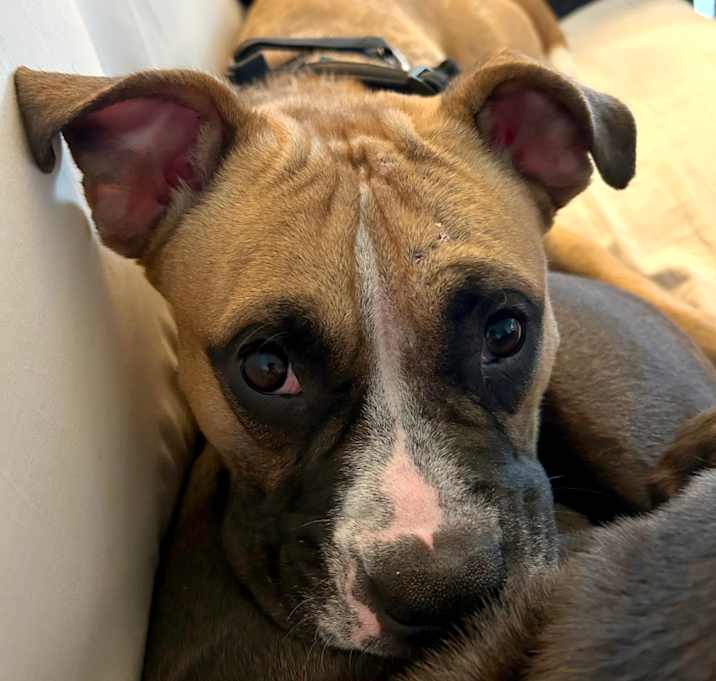 Photo of Zara
