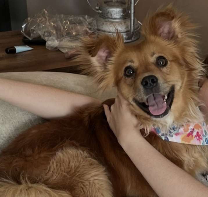 Photo of Ellie