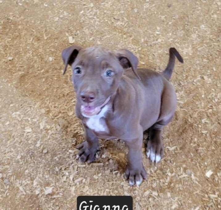 Photo of Gianna