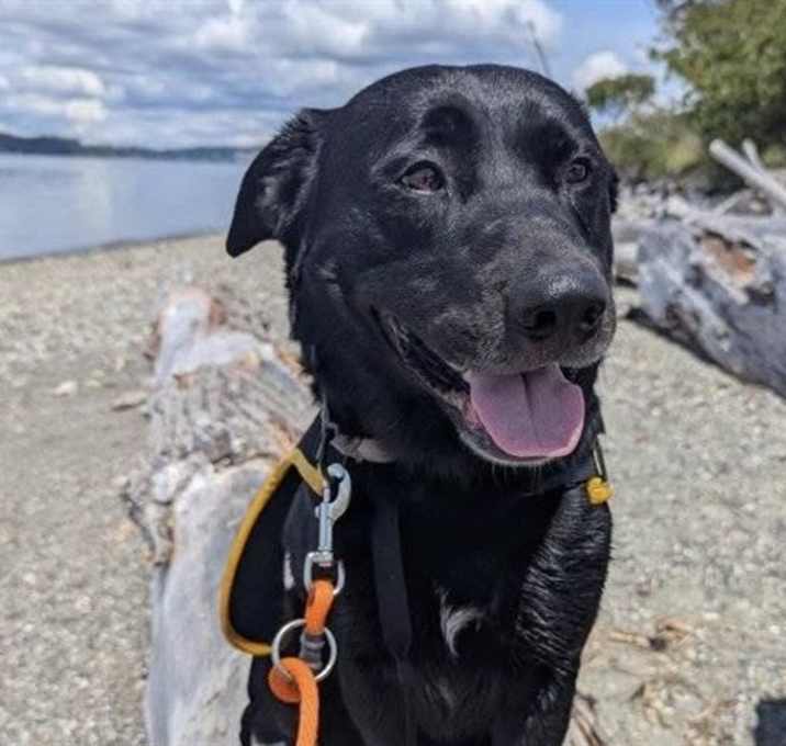 Photo of RILEY