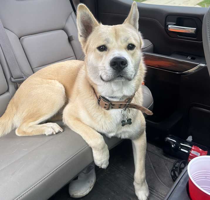 Photo of Jax