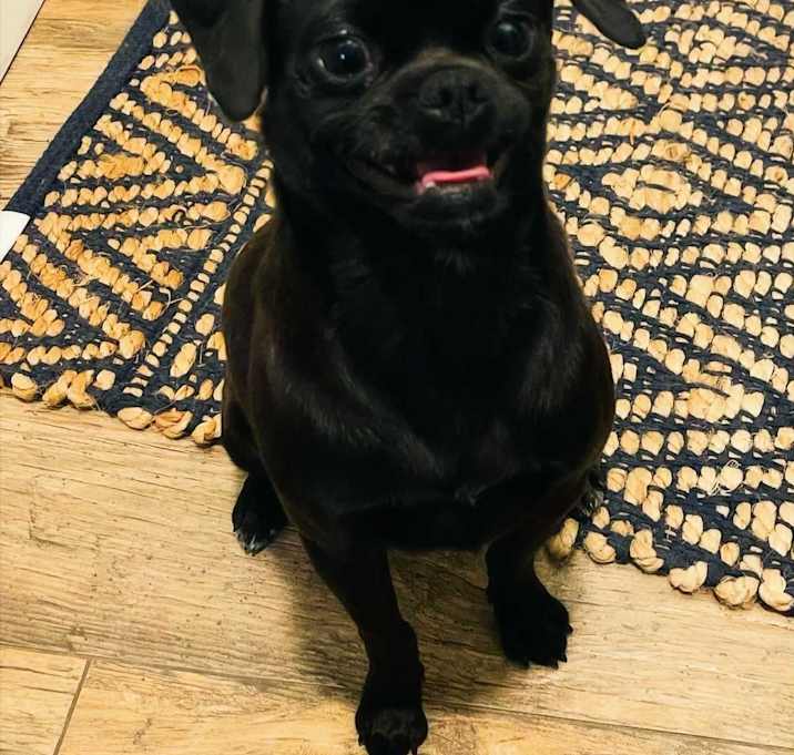 Photo of Mister