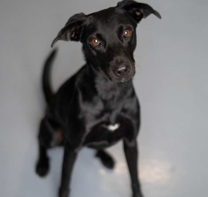 Photo of Tuna