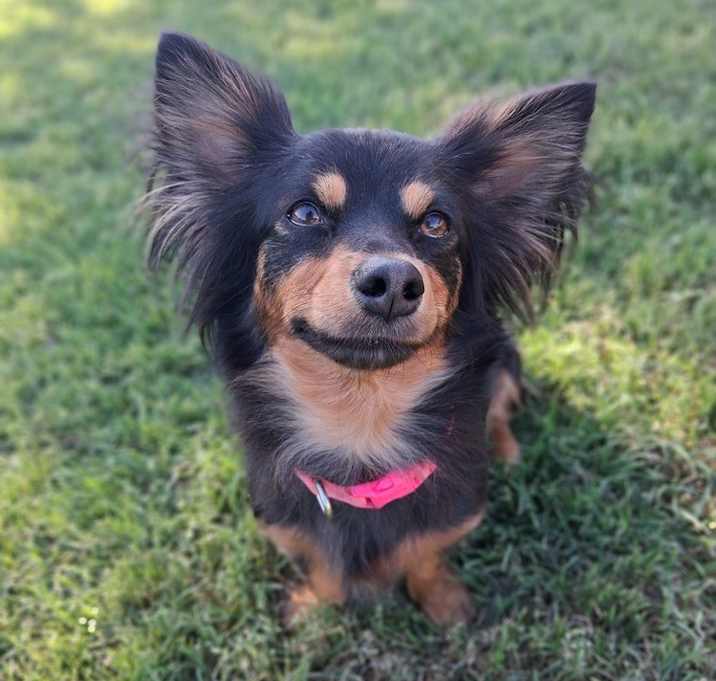 Photo of Josey
