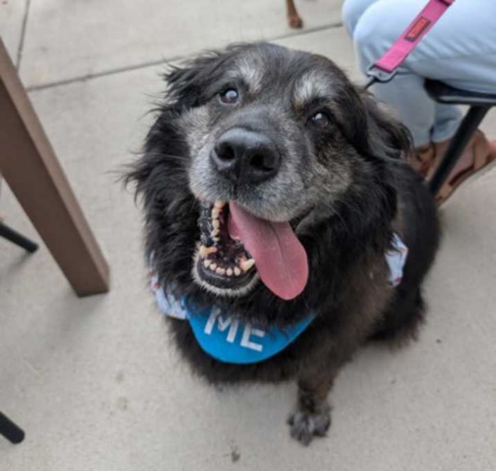 Photo of Winston IN FOSTER