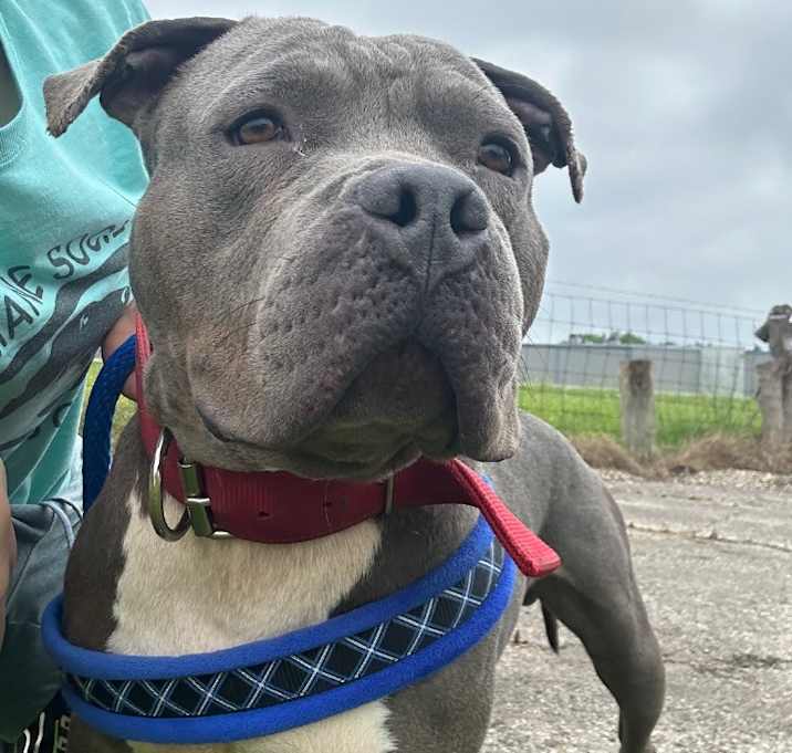Photo of Tank