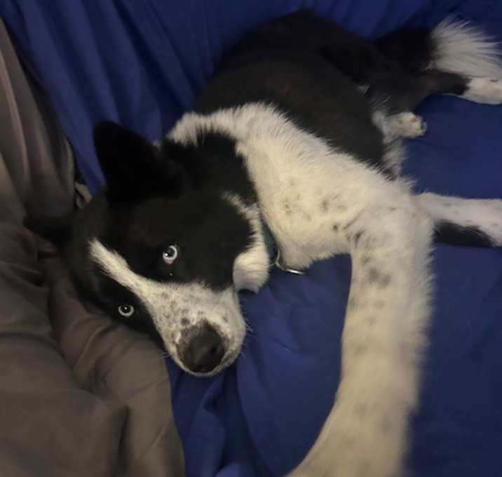 Photo of Cash