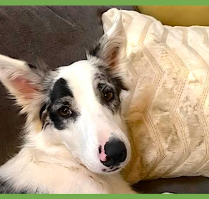 Photo of Gwen