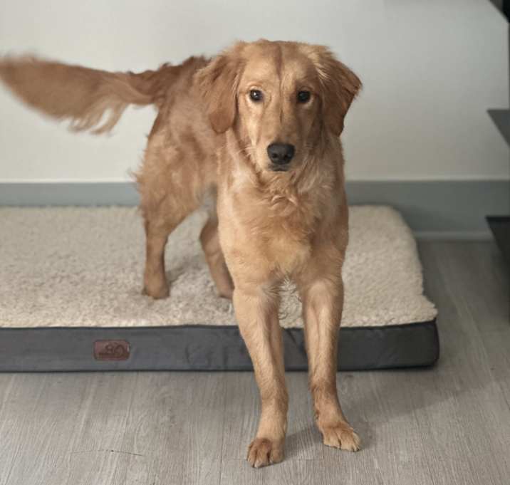 Photo of Oakley