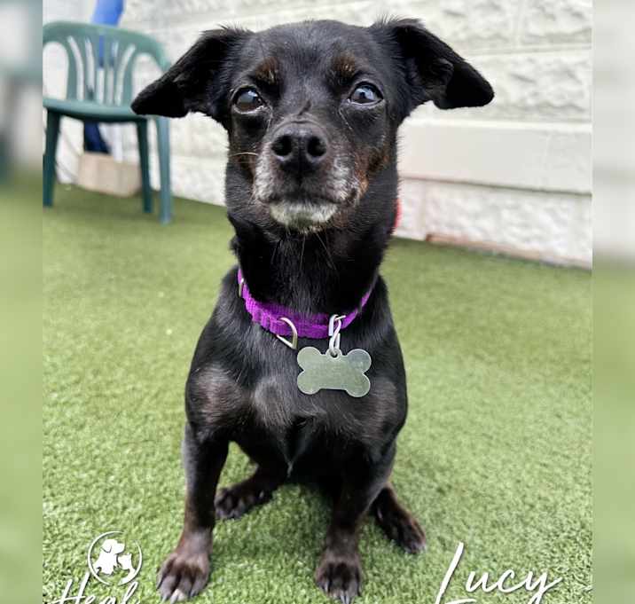 Photo of Lucy