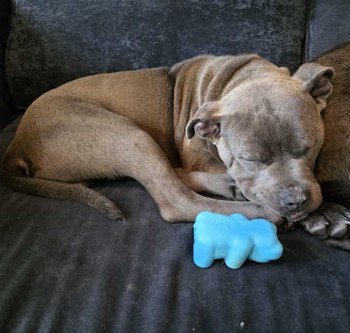Photo of Ernest