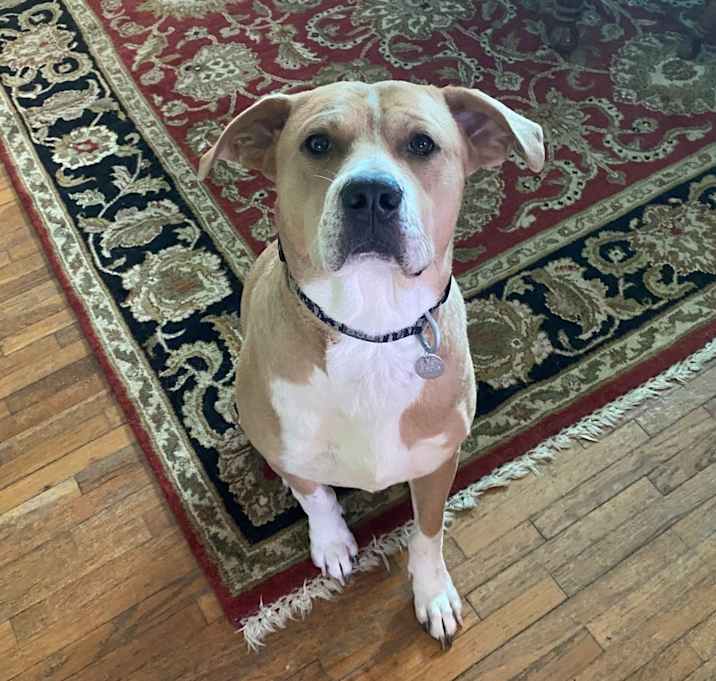 Photo of Theodore