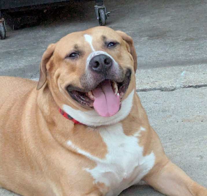 Photo of Copper