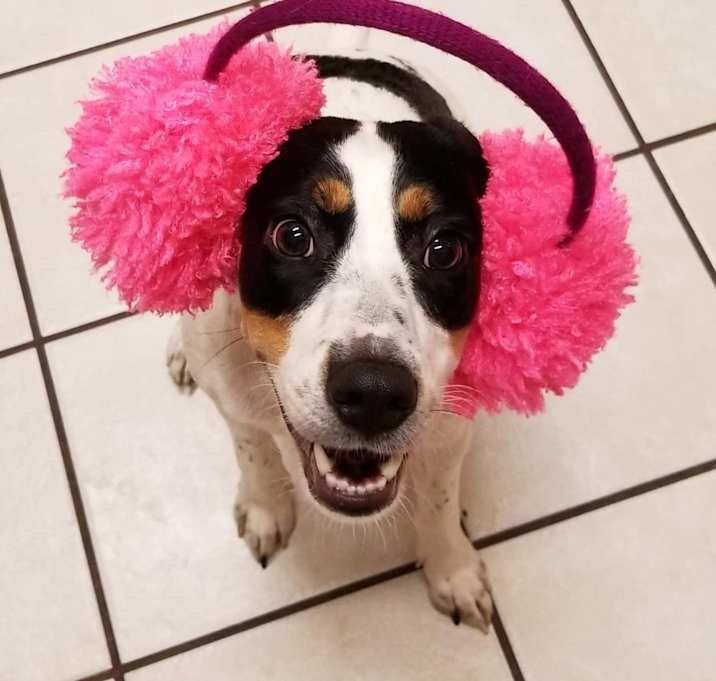Photo of Sophie