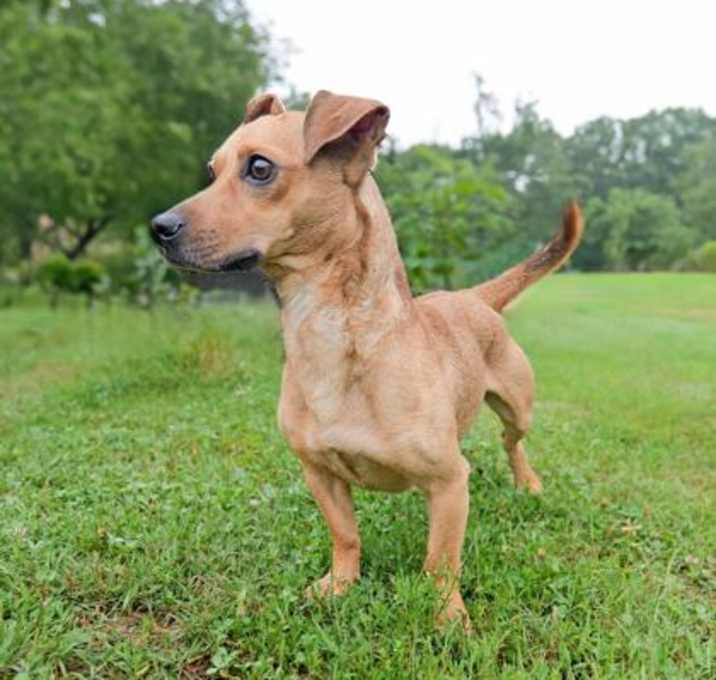 Photo of Milo