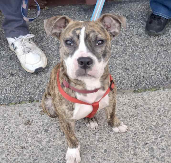 Photo of Lulu
