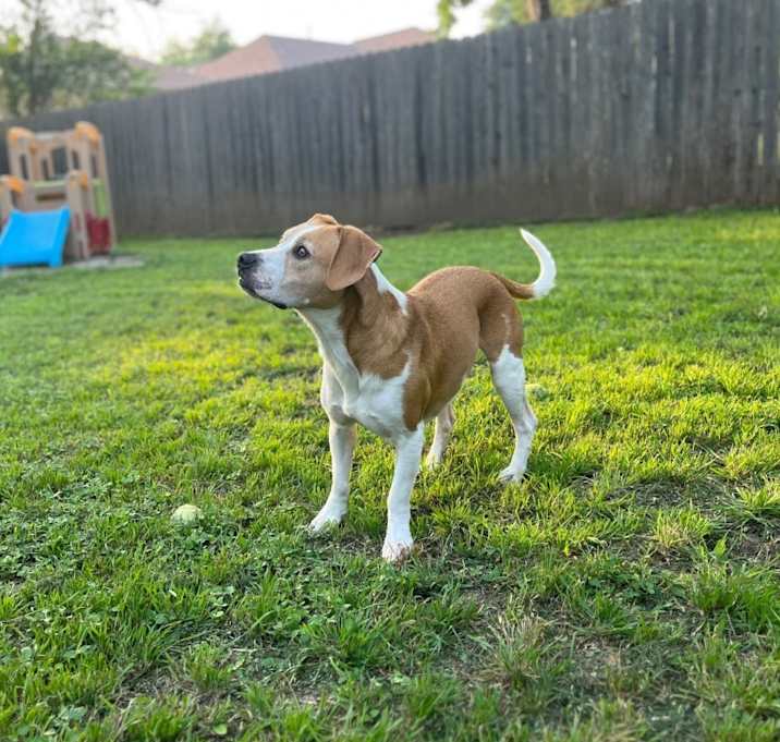 Photo of Tuck