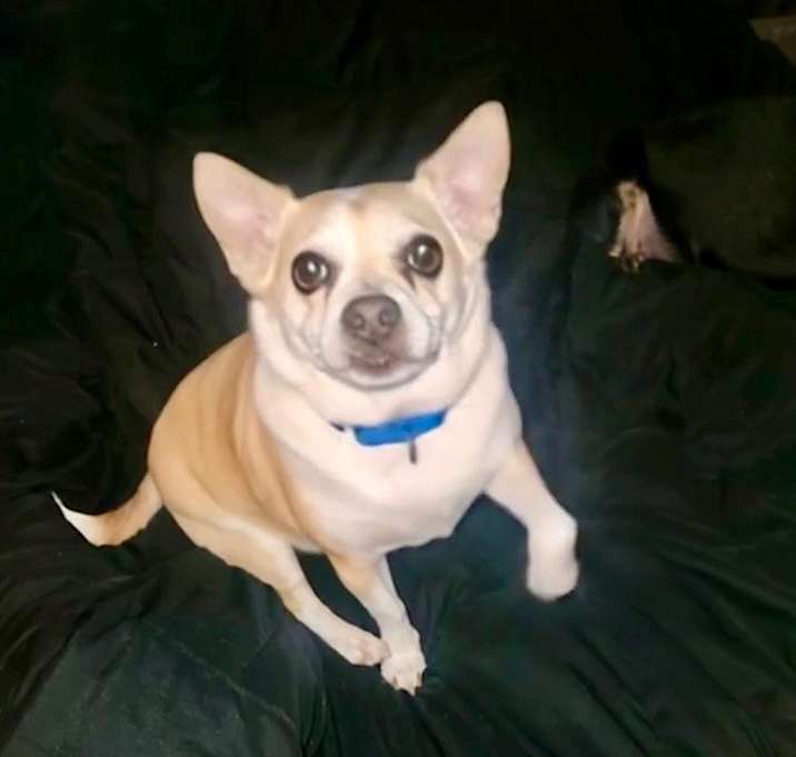 Photo of Arnold
