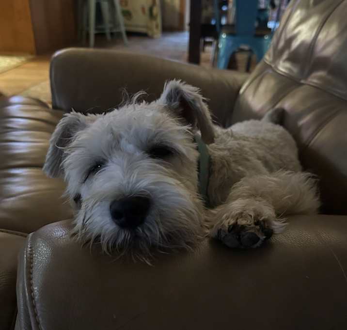 Photo of Rudy