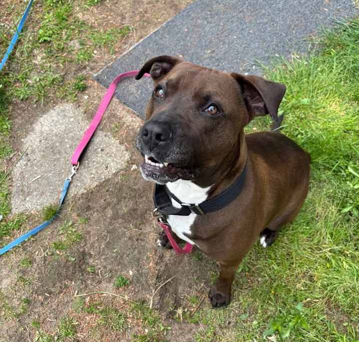 Photo of Winston