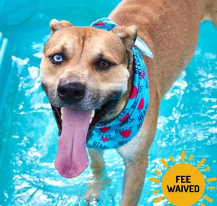 Photo of Rowdy
