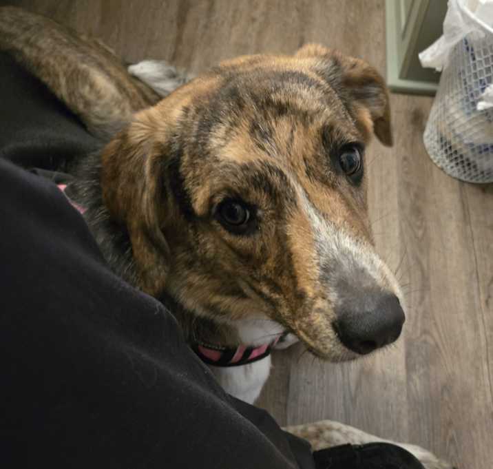 Photo of Ella