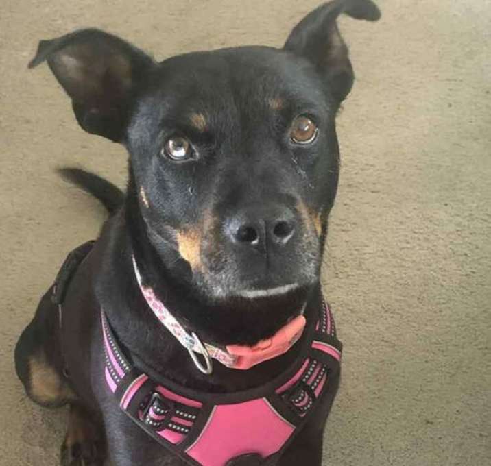 Photo of Sally