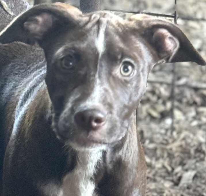 Photo of Holly