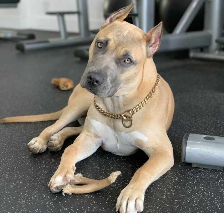 Photo of Lola