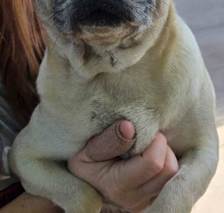 Photo of Mona