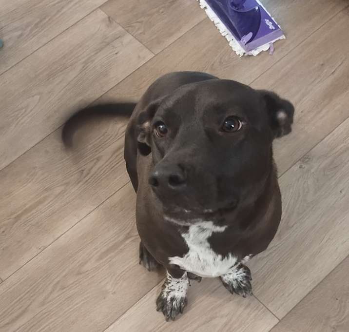 Photo of Winston