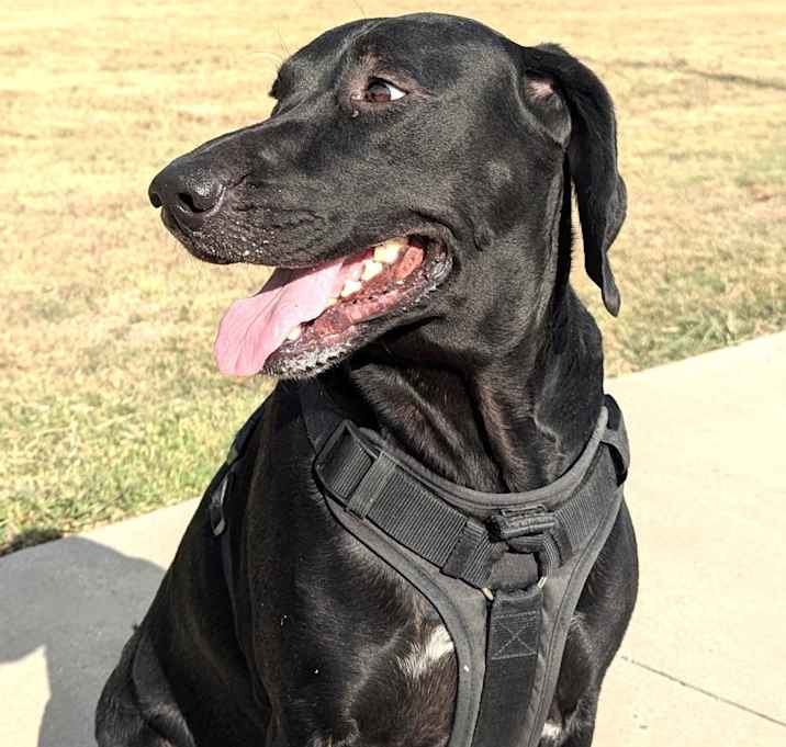 Photo of Roxie