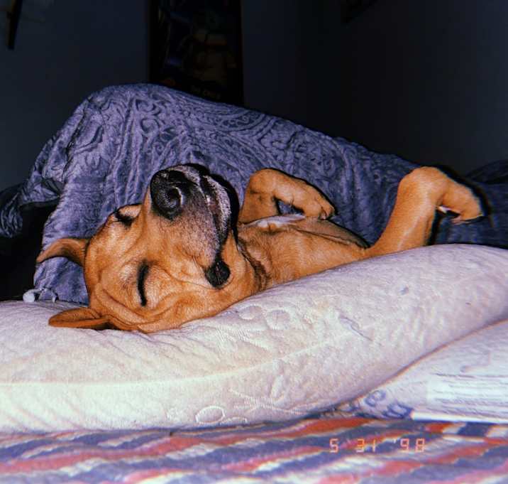 Photo of Jakob