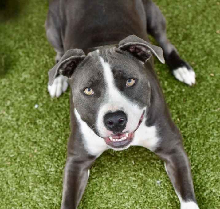 Photo of Rexi