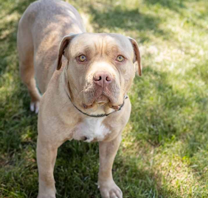 Photo of COOKIE