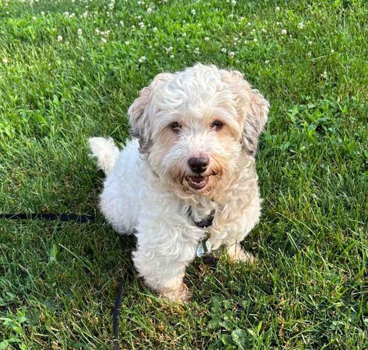 Photo of Betsy