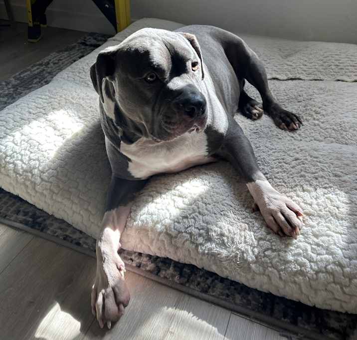 Photo of Cash