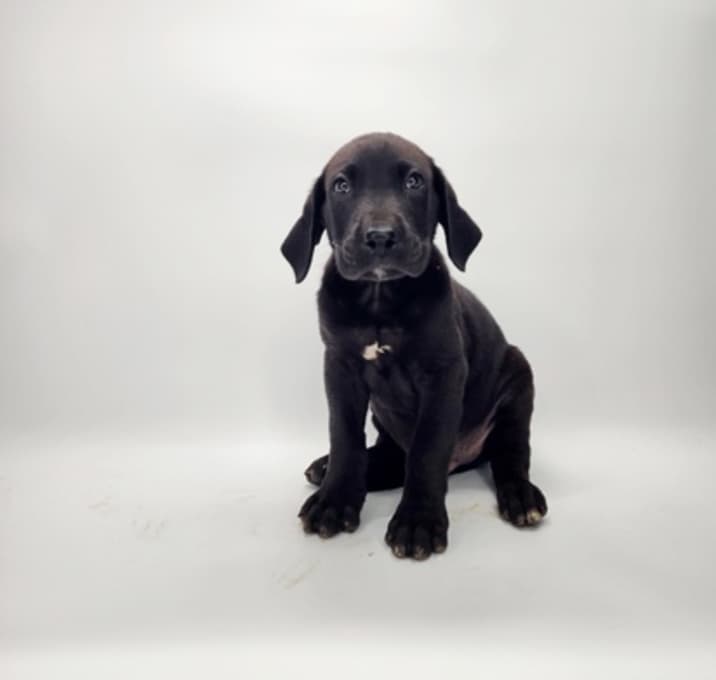Photo of Devon